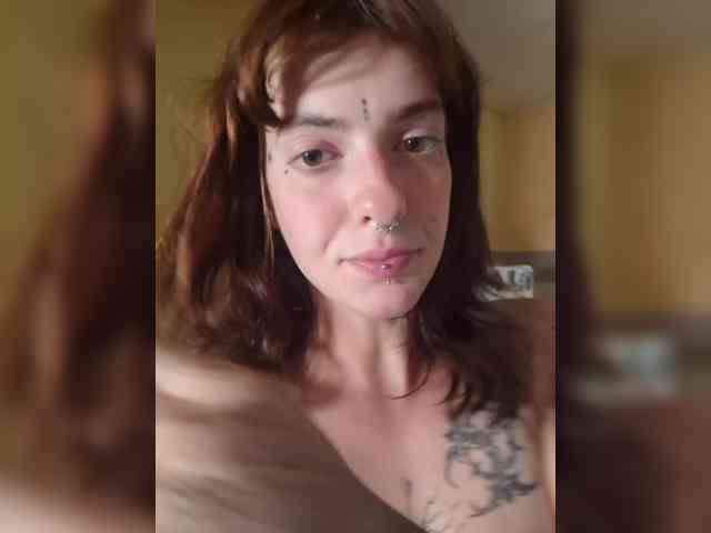 WildVixen webcam