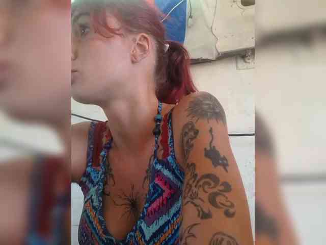 WildVixen webcam