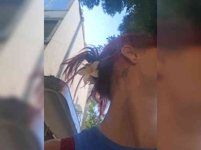 WildVixen WildVixen