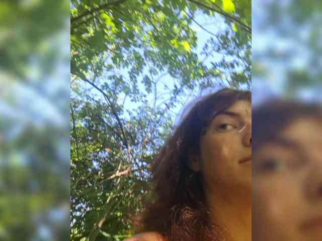 WildVixen