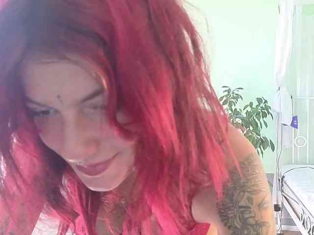WildVixen webcam