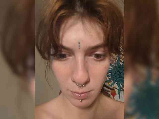 WildVixen Sex Cam Show