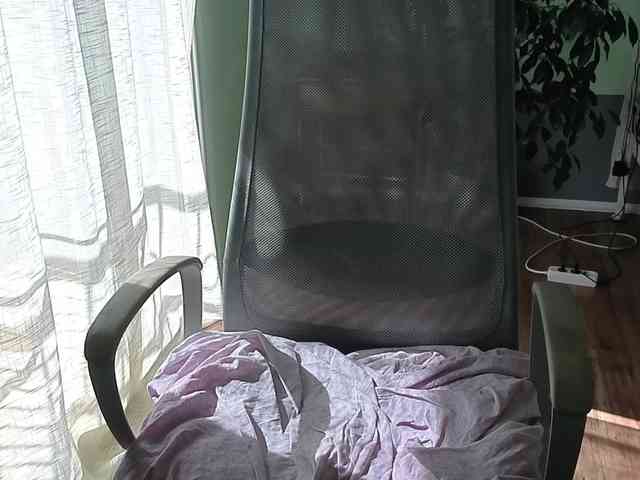 WildVixen webcam