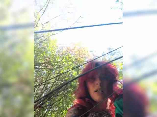 WildVixen