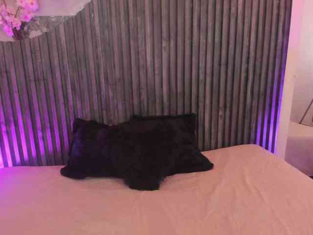 BonnieMoon26 webcam