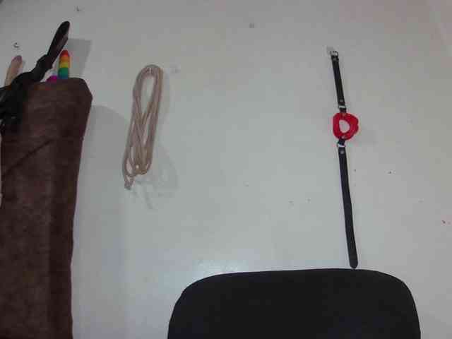 AshleyReyesvip webcam