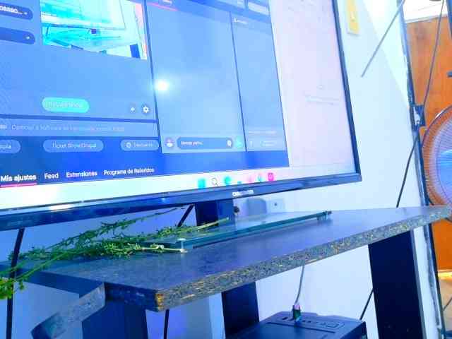 DULCEPERLA webcam