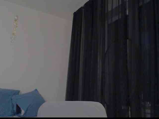 VeterStasya webcam