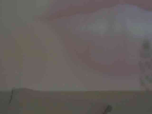 VeterStasya webcam
