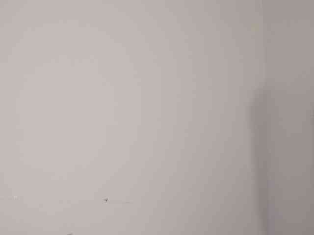 VeterStasya webcam