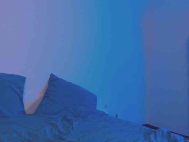 VeterStasya webcam
