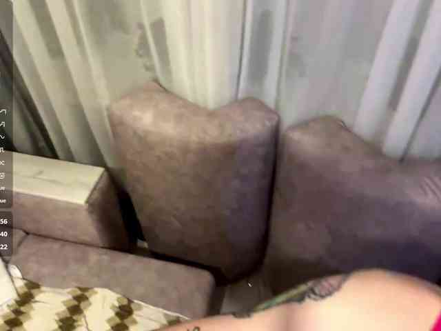 ShelleyPerkes webcam