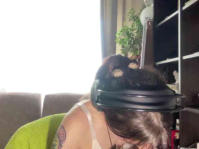 ShelleyPerkes webcam
