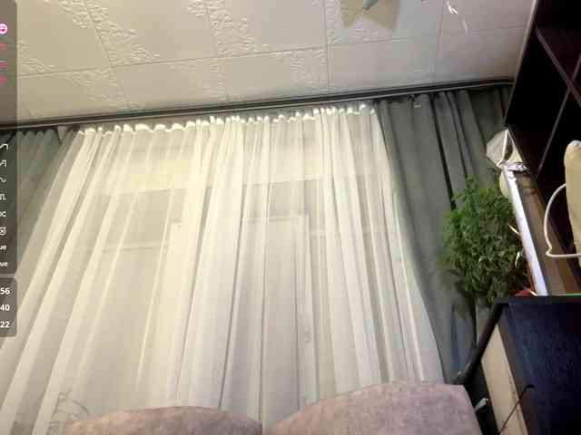 ShelleyPerkes webcam