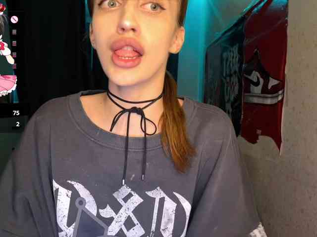 tati-control webcam