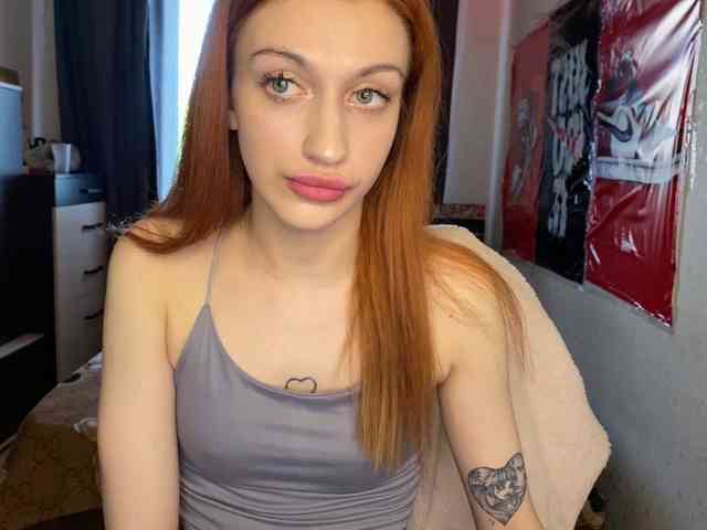 Modelo: tati-control