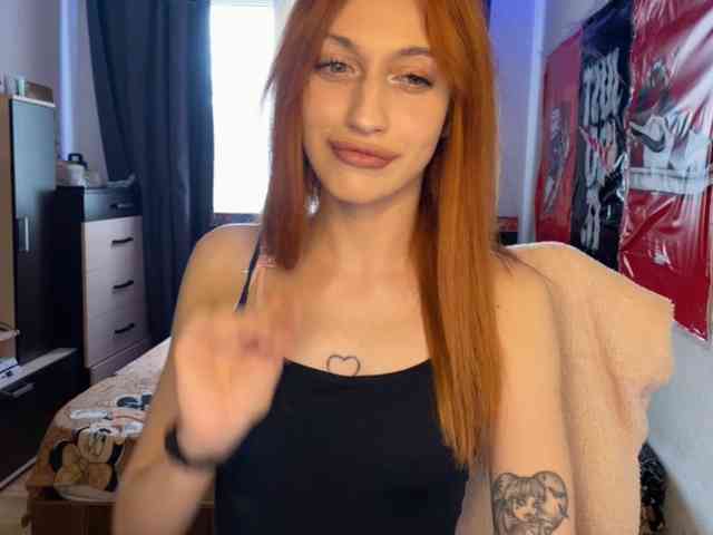 tati-control webcam