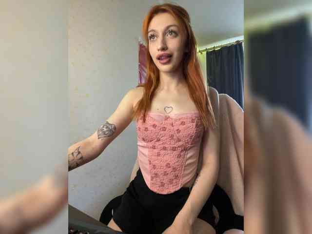 tati-control webcam