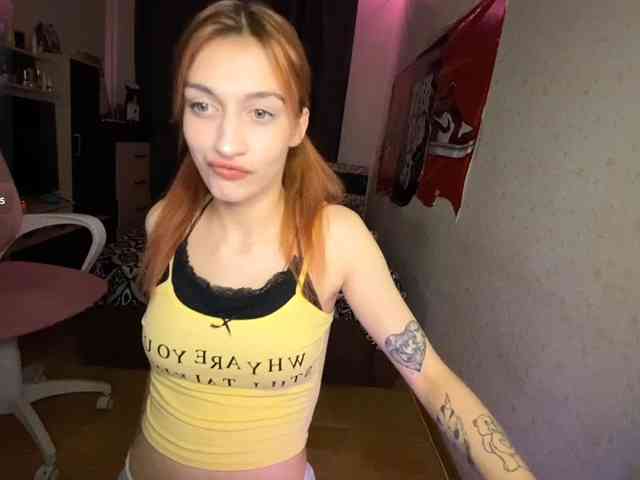 tati-control webcam
