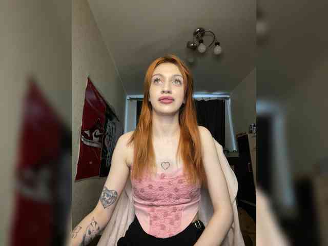 tati-control webcam