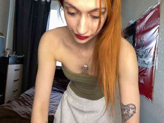 tati-control webcam