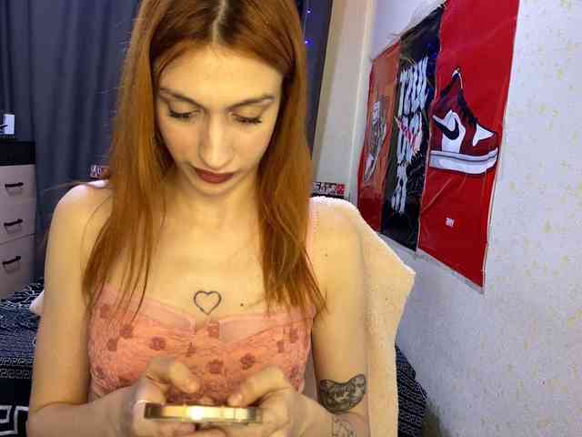 tati-control webcam