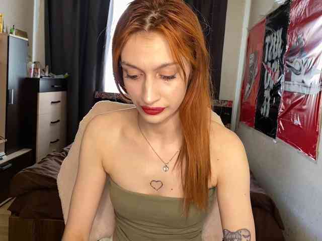 tati-control webcam