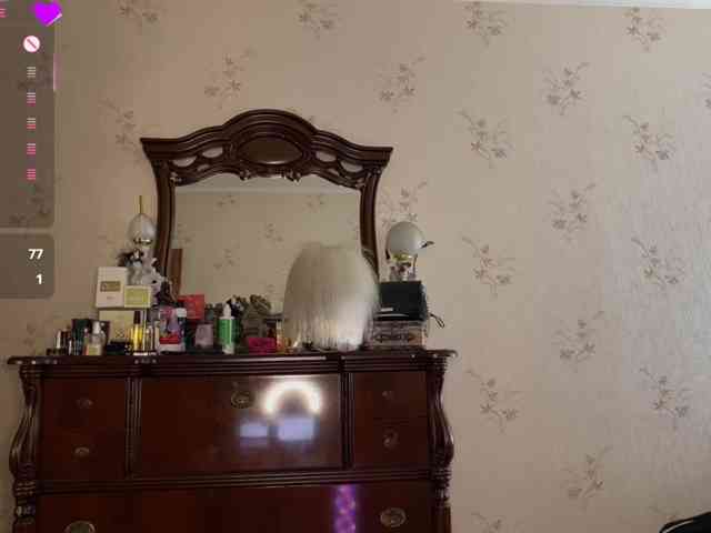 tati-control webcam