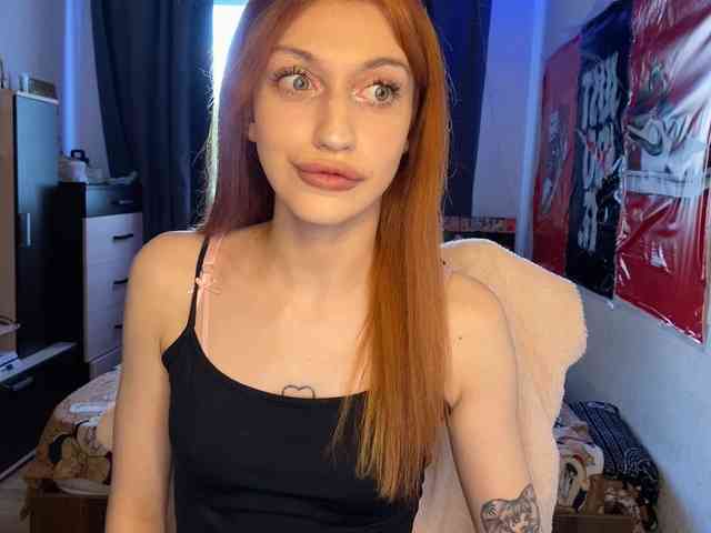 tati-control webcam