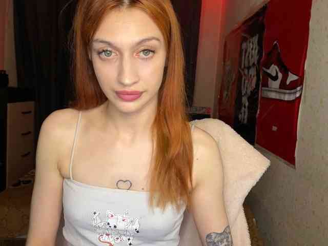 tati-control webcam
