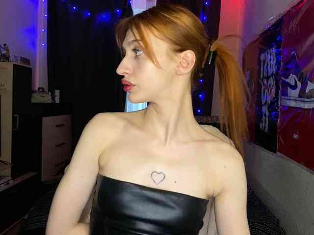 tati-control webcam