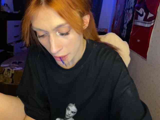 tati-control webcam