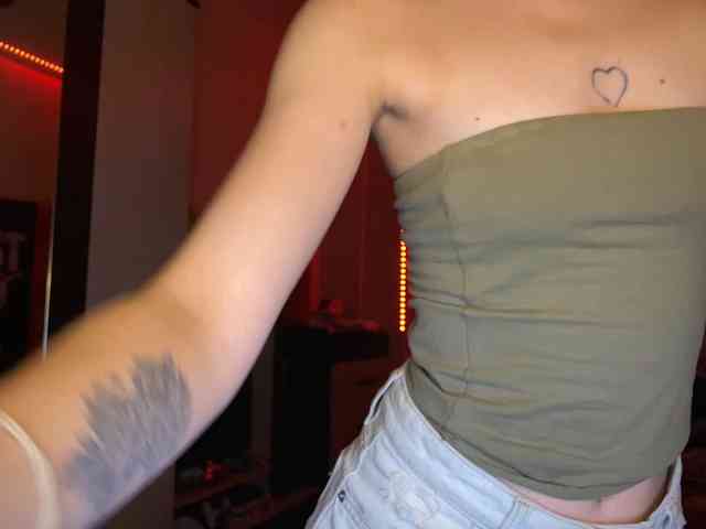 tati-control webcam
