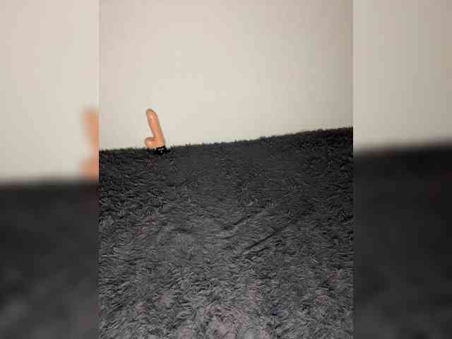 Lika-14 webcam