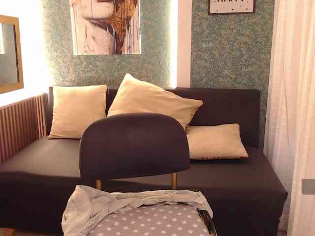 Vennuss-mirrd webcam