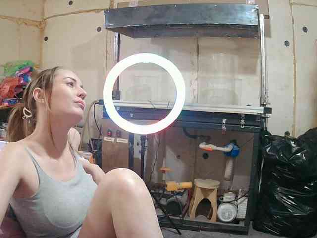 Paramy webcam