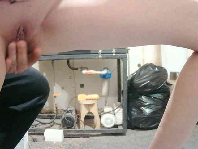 ParaPara1 webcam