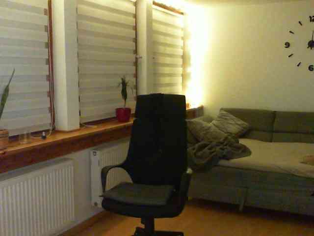 Terainkognito