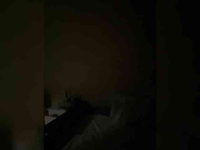 AdelAfterDark