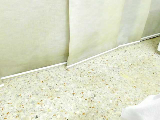 Preview of paulaweston1