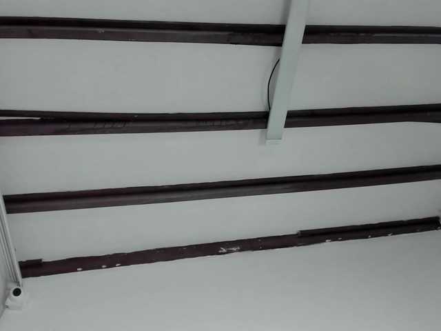 Preview of paulaweston1