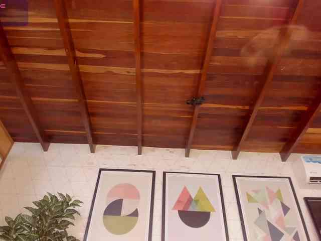 Modelo: ZafiraBlack