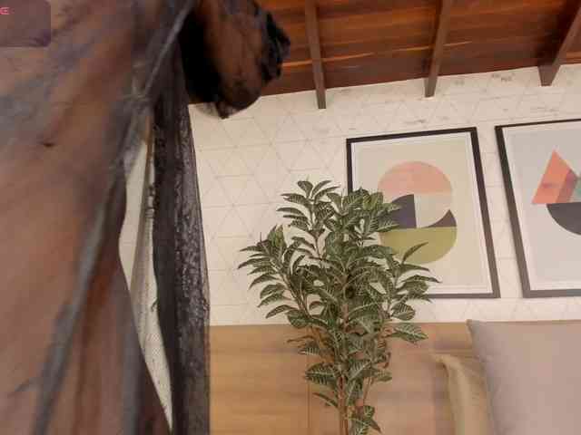 ZafiraBlack webcam