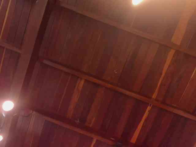 ZafiraBlack webcam