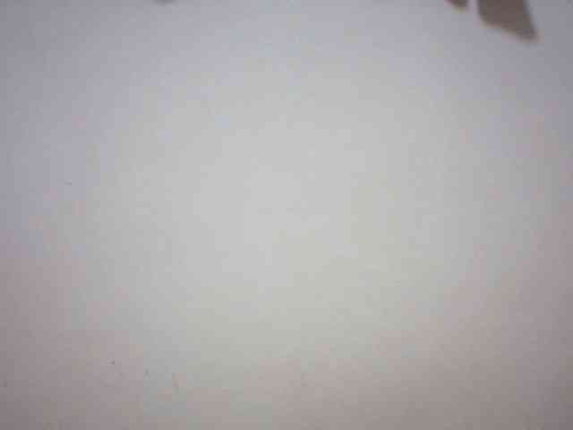 Beautyviny2 webcam