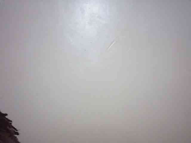 Beautyviny2 webcam