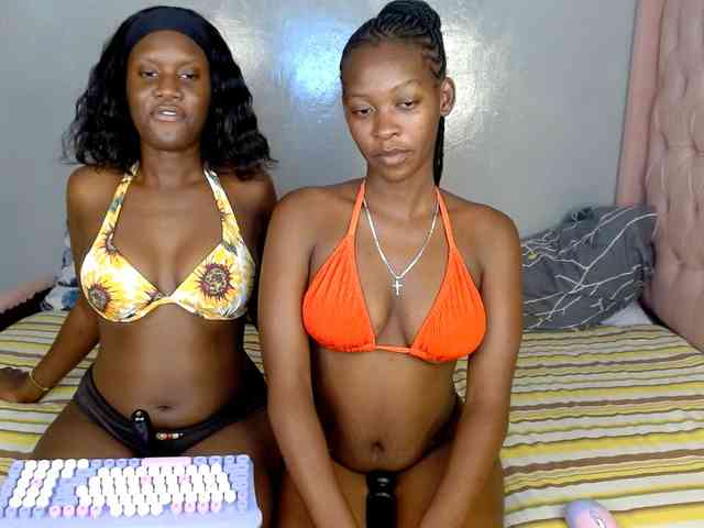 Zenno webcam