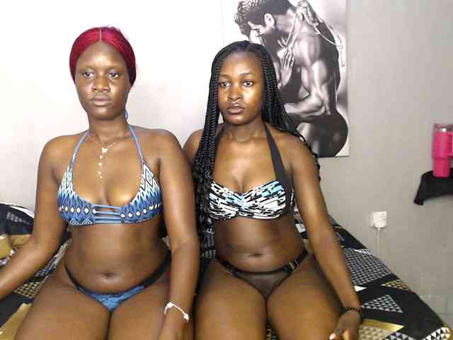 Zenno webcam