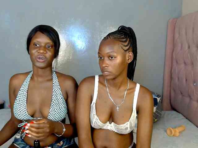 Zenno webcam
