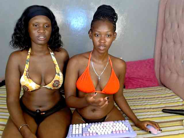 Zenno webcam
